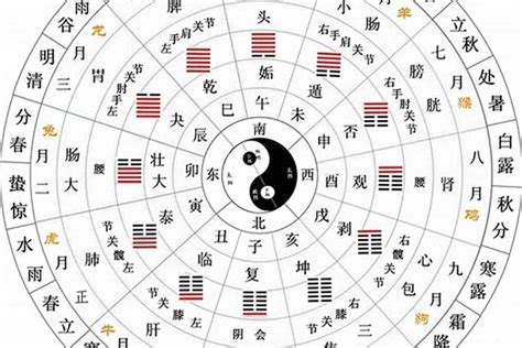 什么是天干地支|详解天干地支